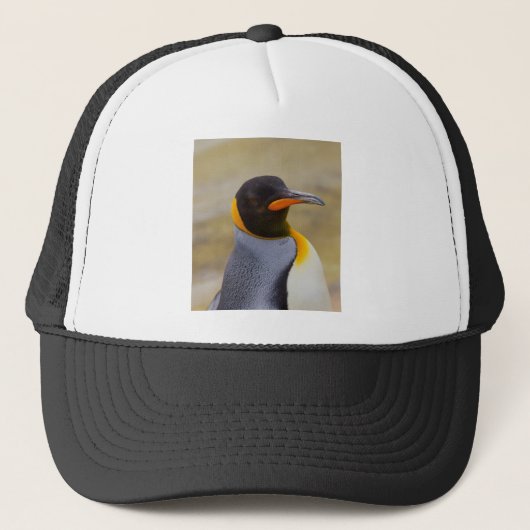 コウテイペンギン キャップ (正面)