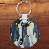 コウテイペンギン キーホルダー (正面)