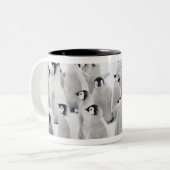 コウテイペンギン(コウテイペンギン属のforsteri)のグループ ツートーンマグカップ (正面左)