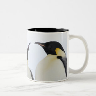コウテイペンギン(コウテイペンギン属のforsteri) ツートーンマグカップ
