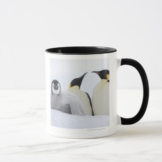 コウテイペンギン(コウテイペンギン属のforsteri) マグカップ (右)
