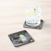 コウテイペンギン コースター (右側)