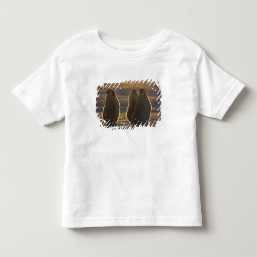 コウテイペンギン トドラーTシャツ (正面)