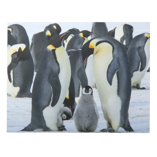 コウテイペンギン ノートパッド (正面)