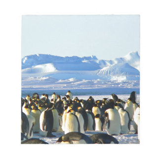 コウテイペンギン ノートパッド