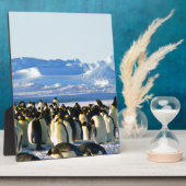 コウテイペンギン フォトプラーク (側面)