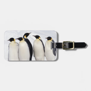 コウテイペンギン ラゲッジタグ