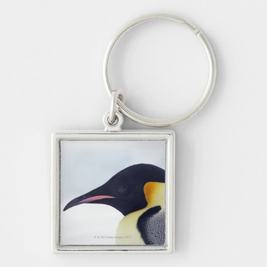 コウテイペンギン、雪の丘の島 キーホルダー (正面)