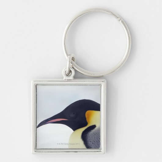 コウテイペンギン、雪の丘の島、Weddelの海 キーホルダー (正面)