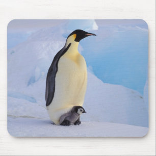 コウテイペンギン Aptenodytes マウスパッド