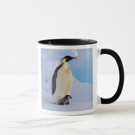 コウテイペンギン | Aptenodytes マグカップ (右)