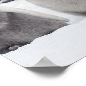 コウテイペンギン(Aptenodytes forsteri)、グループ ポスター (角)