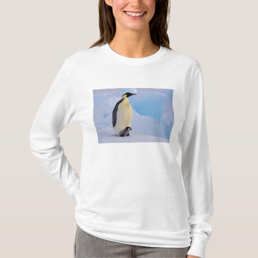 コウテイペンギン | Aptenodytes Tシャツ (正面)