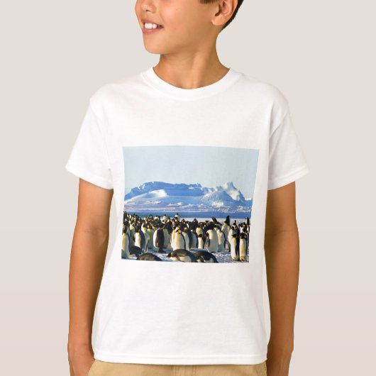 コウテイペンギン Tシャツ (正面)