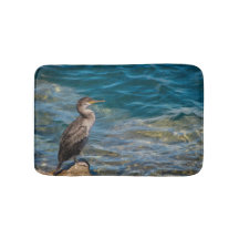 コウテンチョウが岩上に