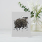 コウテンチョウの巣 ポストカード (スタンド正面)