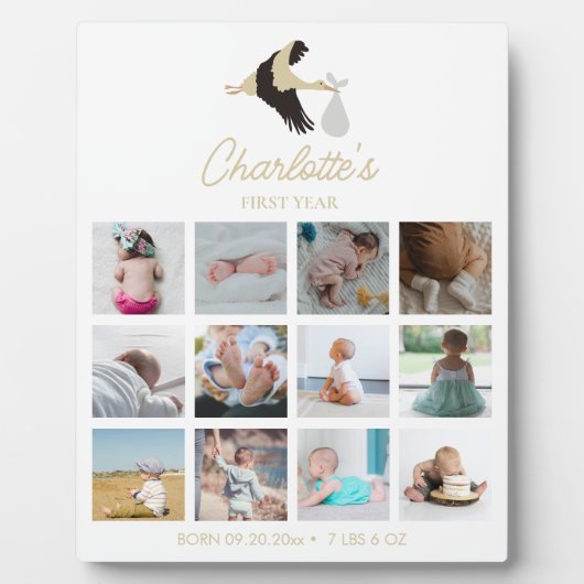 コウテンチョウ 赤ちゃんの最初の1年 写真 出生統計 フォトプラーク (正面)