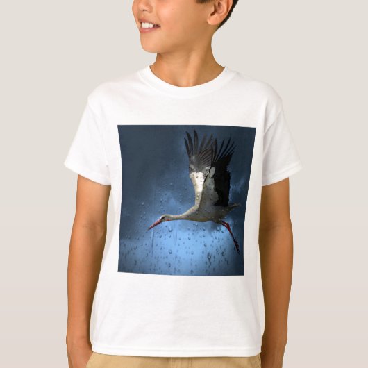 コウテンチョウ Tシャツ (正面)