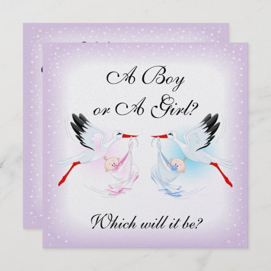 コウノトリとベビーベビージェンダーがパーティーの招待を明らかにする 招待状 (正面/裏面)