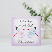 コウノトリとベビーベビージェンダーがパーティーの招待を明らかにする 招待状 (スタンド正面)