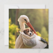 コウノトリと子犬、カスタマイズ可能 シーズンカード (正面)