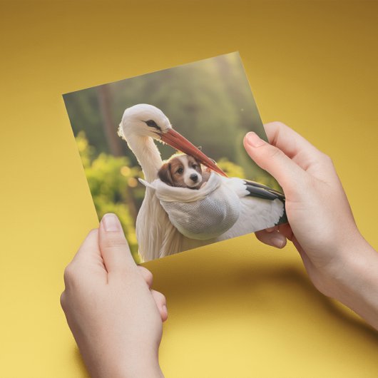 コウノトリと子犬、カスタマイズ可能 シーズンカード