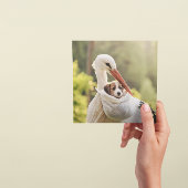 コウノトリと子犬、カスタマイズ可能 シーズンカード