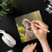 コウノトリと子犬、カスタマイズ可能 シーズンカード