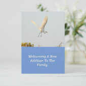 コウノトリと飛んでいるの誕生 出欠カード (スタンド正面)