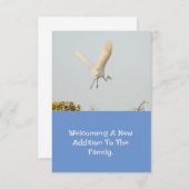 コウノトリと飛んでいるの誕生 出欠カード (正面/裏面)