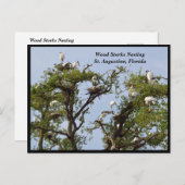 コウノトリの営巣 シーズンポストカード (正面/裏面)