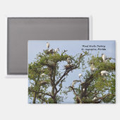 コウノトリの営巣 マグネット (正面/裏面)