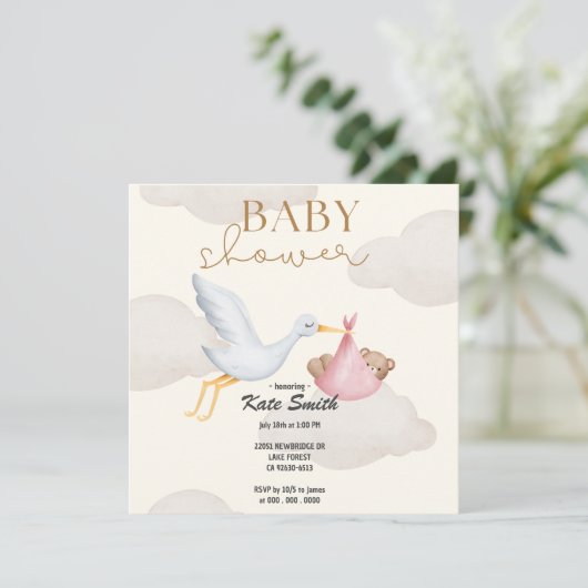 コウノトリはベビーの赤ちゃんシャワーを持ってくる 招待状 (スタンド正面)