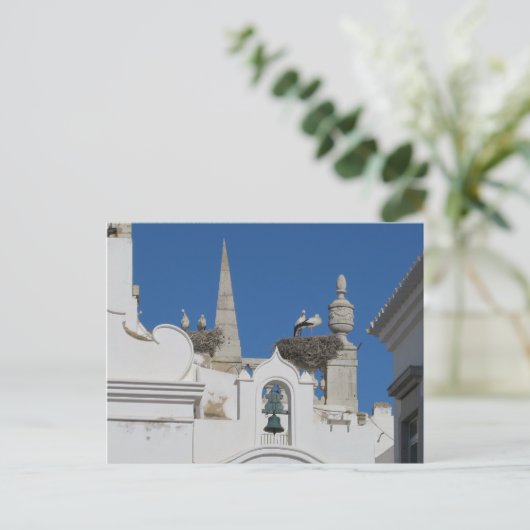 コウノトリは旧市街の教会に巣を作る ポストカード (スタンド正面)