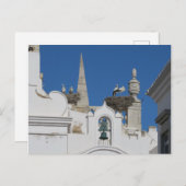 コウノトリは旧市街の教会に巣を作る ポストカード (正面/裏面)