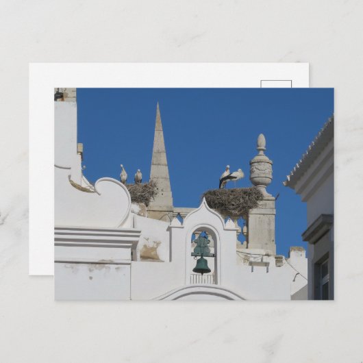 コウノトリは旧市街の教会に巣を作る ポストカード (正面/裏面)