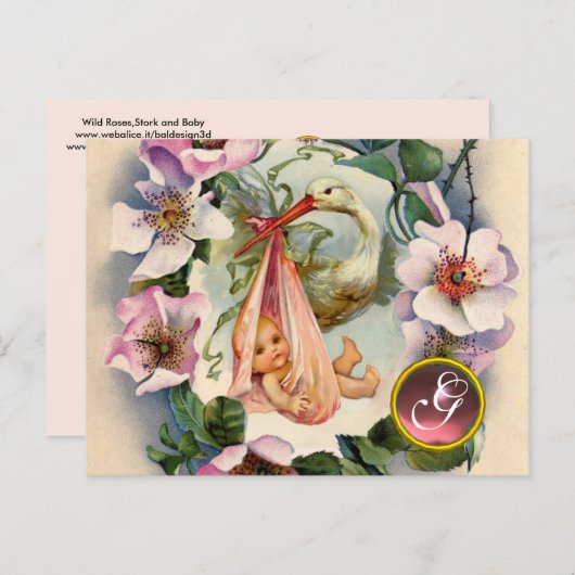 コウノトリ女の子の赤ちゃんシャワー、ピンクの野生のバラモノグラム インビテーションポストカード (正面/裏面)