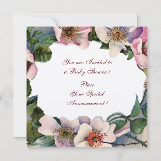 コウノトリ少年の赤ちゃんシャワー、ピンクの野生のバラモノグラム 招待状 (裏面)