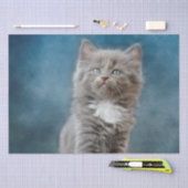 コウノトリ猫ティッシュペーパー 薄葉紙 (クラフト)