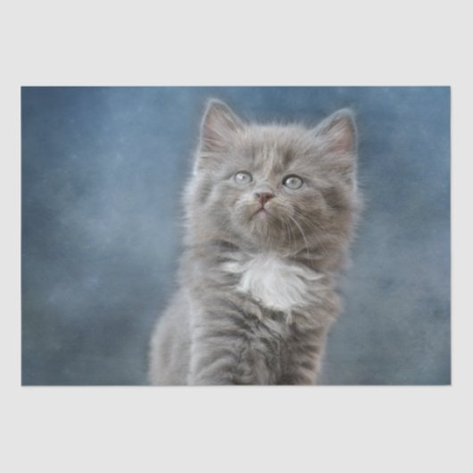 コウノトリ猫ティッシュペーパー 薄葉紙 (正面)