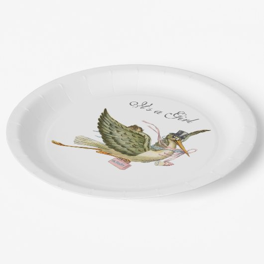 コウノトリ赤ちゃん女の子シャワーホワイト ペーパープレート (アングル)