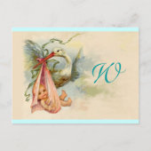 コウノトリ赤ちゃん女の子シャワー2 インビテーションポストカード (正面)