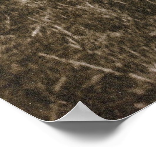 コウノトリ ポスター (角)