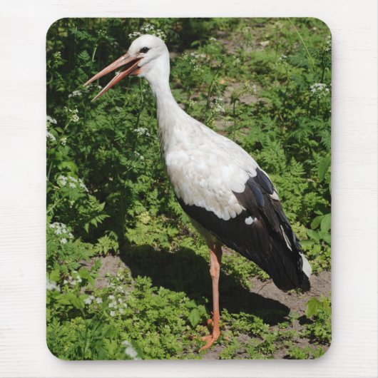 コウノトリ マウスパッド (正面)