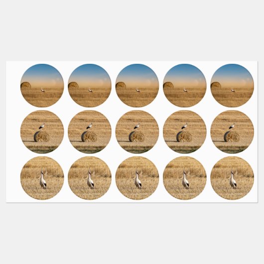 コウノトリ ラベル (シート)