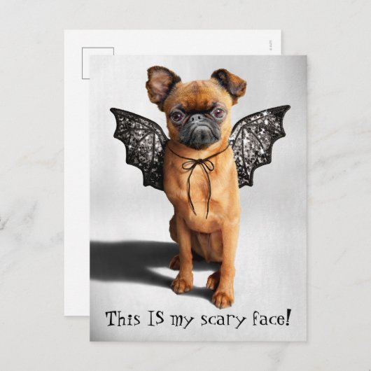 コウモリの羽を持つ犬 インビテーションポストカード (正面/裏面)