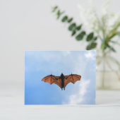 コウモリ ポストカード (スタンド正面)