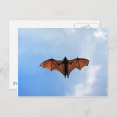 コウモリ ポストカード (正面/裏面)