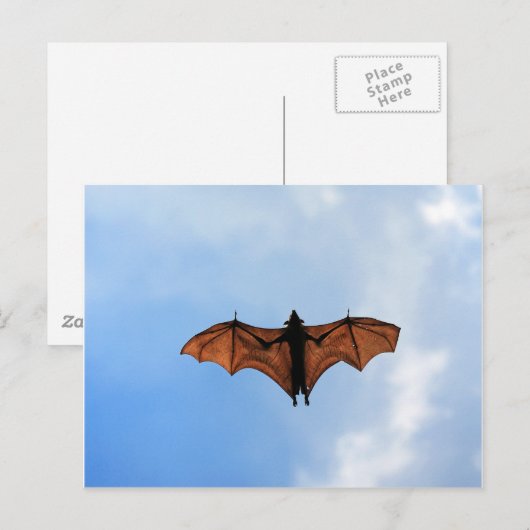 コウモリ ポストカード (正面/裏面)