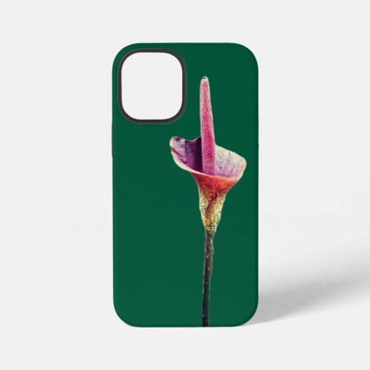 コウラセンモン花 iPhoneケース (裏面)